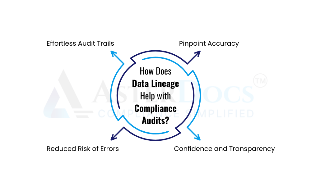 Data Lineage for Streamlined Compliance Audits 