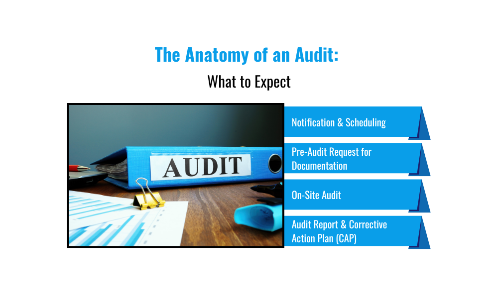 The Anatomy of an Audit: What to Expect