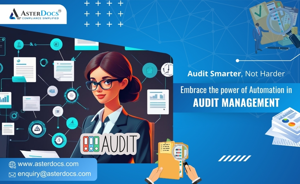 Audit management